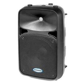 山逊(SAMSON) Auro D210 10寸有源扩声音箱 广场会议舞台返听音箱（只）