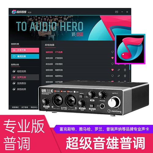 大邦跃(INGPING) 【专业版】超级音雄声卡普调（维护三个月）