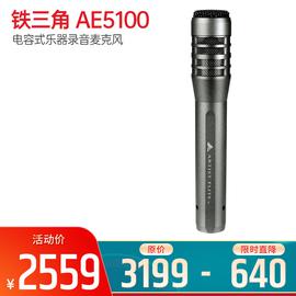 铁三角(Audio-technica) AE5100 电容式乐器录音麦克风