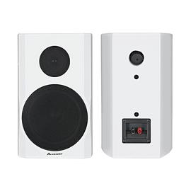 音王(InAndOn) TP-8 8寸家庭KTV音响 家用专业卡拉OK音箱 (白色)