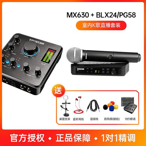 得胜MX630声卡搭配舒尔BLX24/PG58手持麦克风 室内K歌直播套装（无线版）