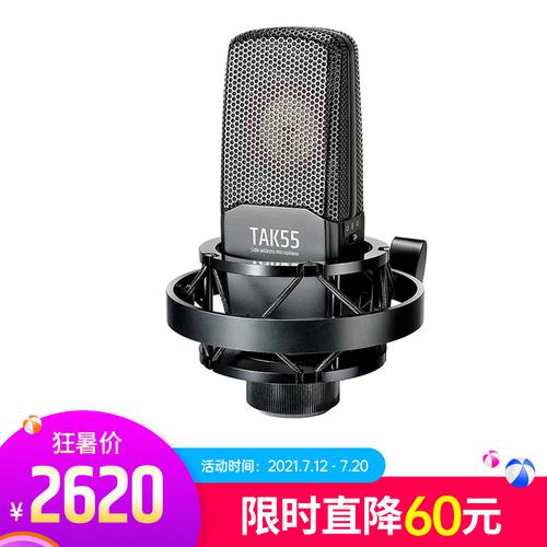 得胜(TAKSTAR) TAK55 专业录音麦克风 双面镀金大震膜多指向电容话筒 