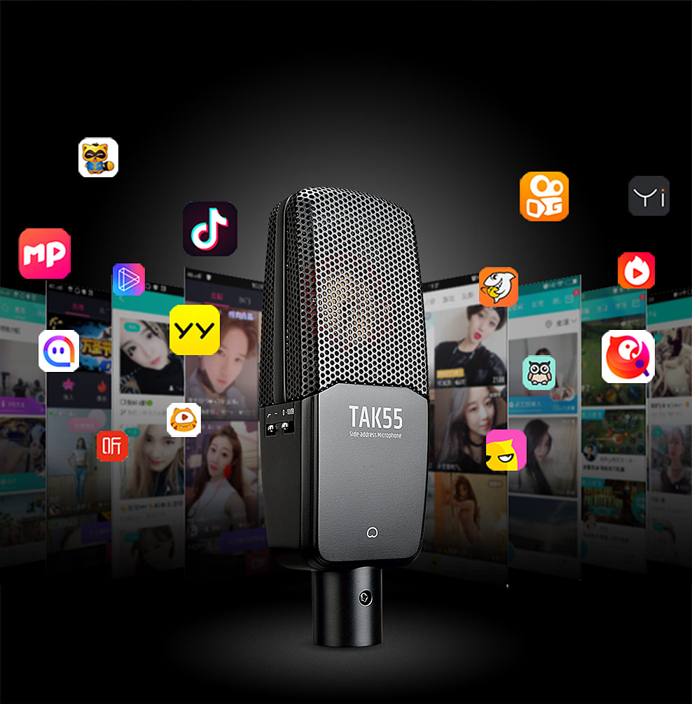 艾肯MOBILE·U VST 声卡 搭配 得胜TAK55麦克风 电脑手机直播K歌声卡套装
