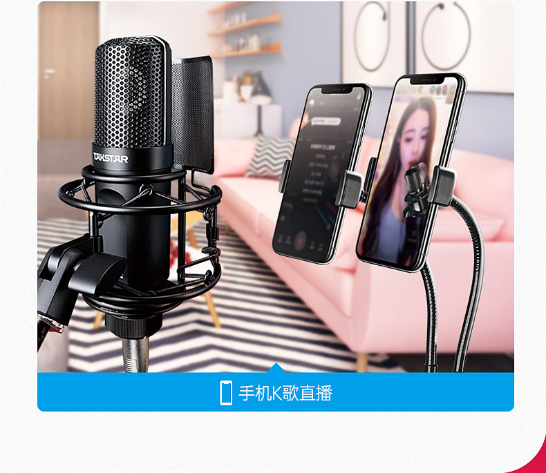 得胜(TAKSTAR) PC-K750 电容式录音麦克风 直播K歌录音麦克风