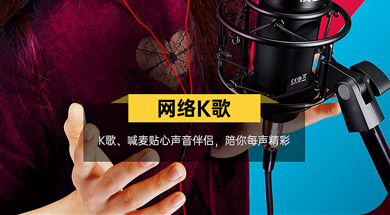 得胜(TAKSTAR) PC-K750 电容式录音麦克风 直播K歌录音麦克风