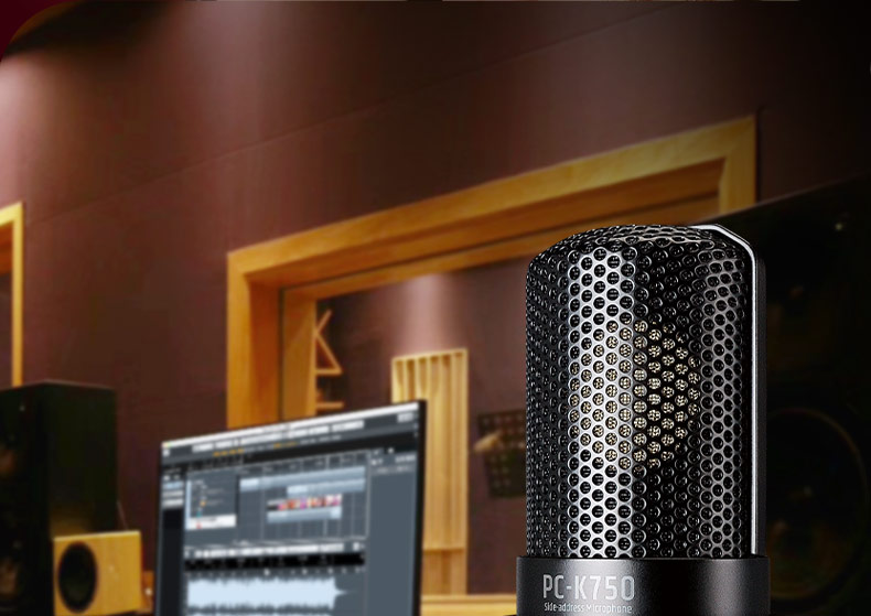得胜(TAKSTAR) PC-K750 电容式录音麦克风 直播K歌录音麦克风