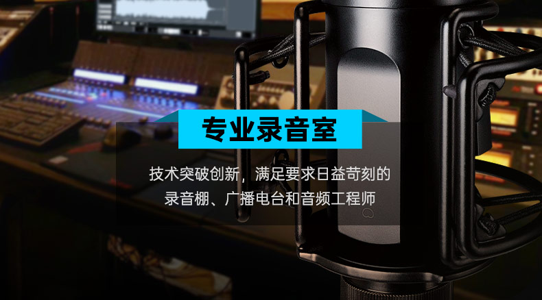 得胜(TAKSTAR) PC-K750 电容式录音麦克风 直播K歌录音麦克风