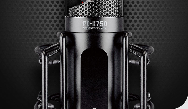 得胜(TAKSTAR) PC-K750 电容式录音麦克风 直播K歌录音麦克风