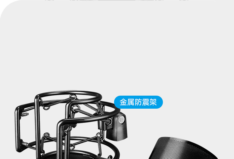 得胜(TAKSTAR) PC-K750 电容式录音麦克风 直播K歌录音麦克风