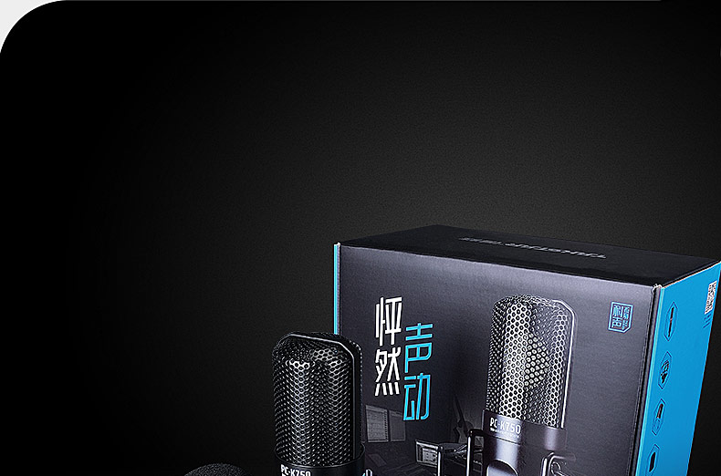 得胜(TAKSTAR) PC-K750 电容式录音麦克风 直播K歌录音麦克风