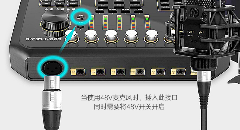 森然(seeknature) ST60 手机直播声卡专用麦克风电脑唱歌网红k歌专用声卡