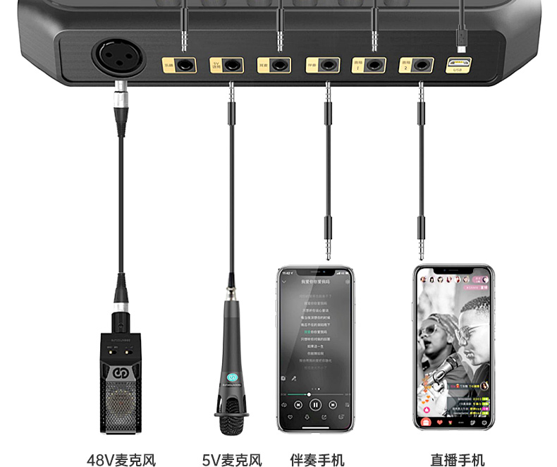 森然(seeknature) ST60 手机直播声卡专用麦克风电脑唱歌网红k歌专用声卡