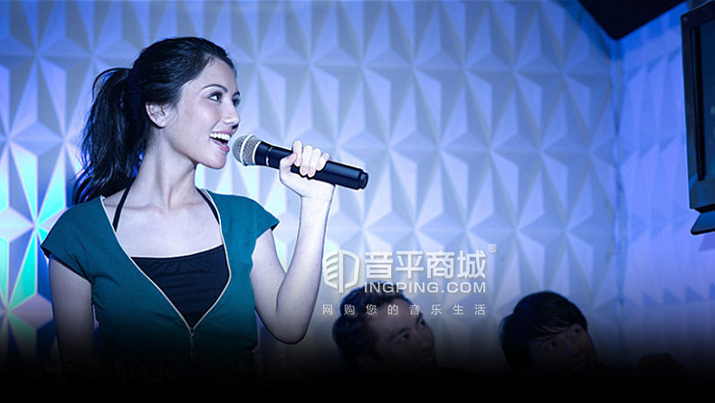 舒尔(SHURE) SVX24-PG58 手持式无线麦克风 演出/演讲/会议/家用（一拖一）
